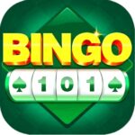 BINGO 101